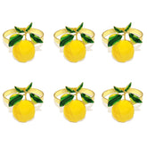 Kit_6_Aneis_de_Guardanapo_Limora_Belo_Morar